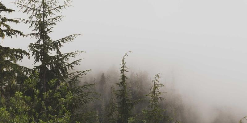 CE263与网络协议：深入解析现代网络技术的核心基石