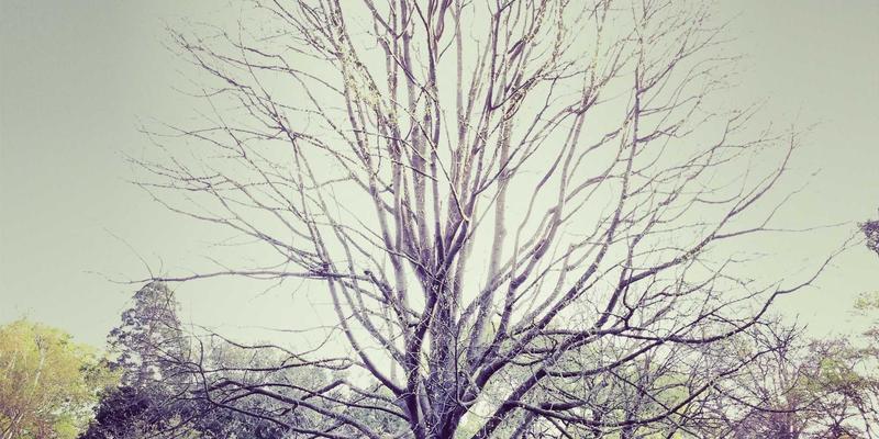 CE263与网络协议解析：专业工具如何重塑网络技术实践