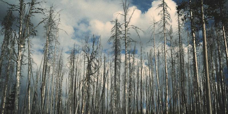 CE263与网络工具：构建下一代边缘计算网络架构，破解延迟、带宽与安全三角难题