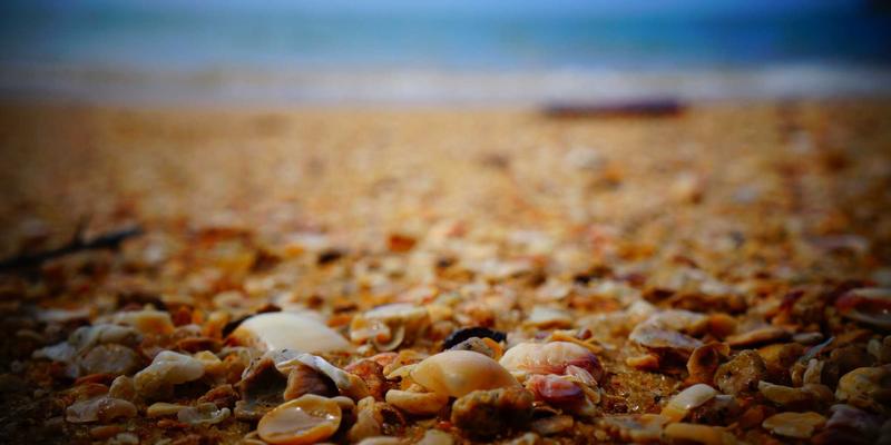 CE263与网络技术资源分享：从理论到实践的高效学习路径