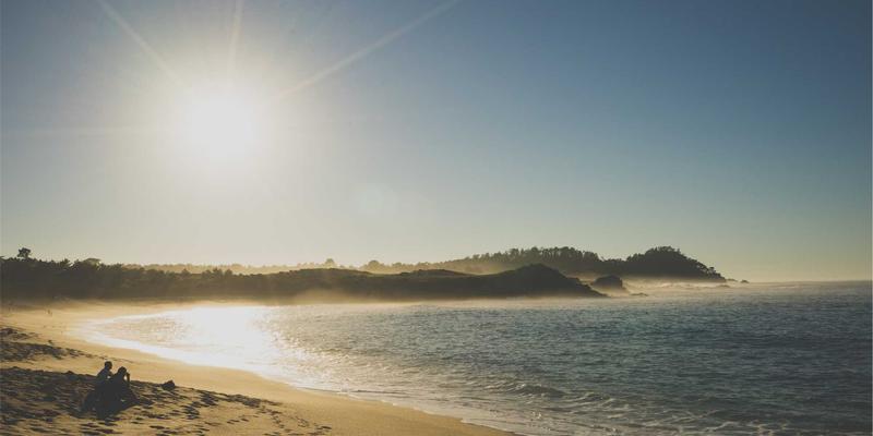 CE263网络协议深度解析:从理论到实践的技术教程