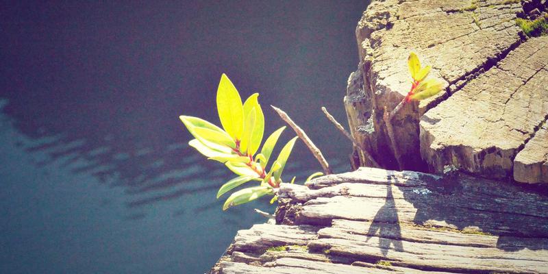 CE263网络工具深度解析：从技术教程到实战应用的全方位指南