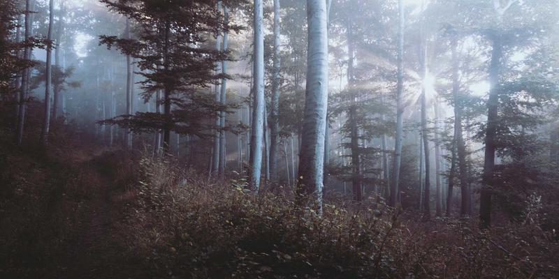 CE263网络工具解析：软件定义广域网（SD-WAN）与SASE架构的融合趋势与资源分享