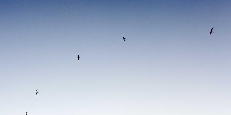 CE263网络技术实战教程：从基础概念到关键技术解析