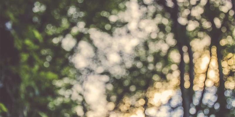 CE263网络技术深度解析：从协议原理到企业级应用案例分析