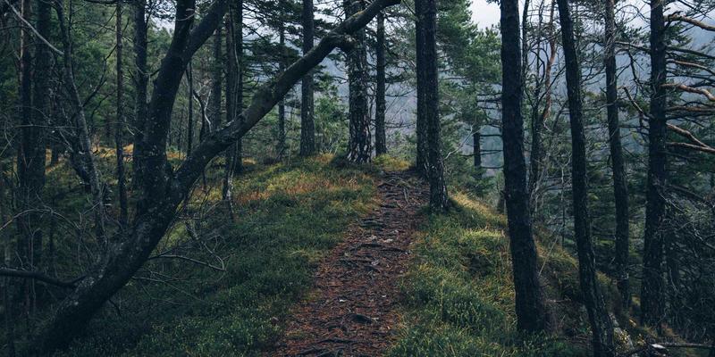 CE263资源分享：深度解析网络功能虚拟化（NFV）向云原生网络功能的演进与核心挑战