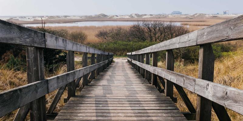 从自动化到智能化：基于意图的网络（IBN）如何重塑网络运维与资源分享