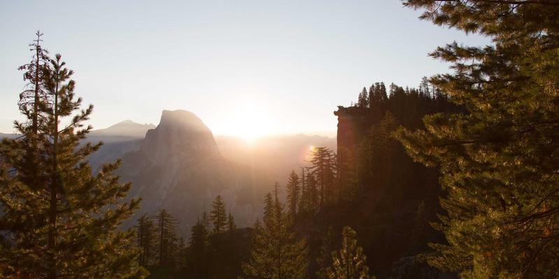 掌握网络协议与CE263工具：提升网络管理效率的核心技巧