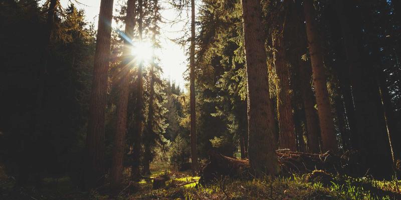 时间敏感网络（TSN）关键技术解析：驱动工业自动化与车联网的未来