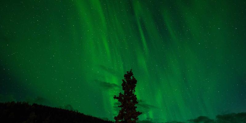 时间敏感网络（TSN）在工业互联网中的应用与协议详解：构建确定性未来的网络技术