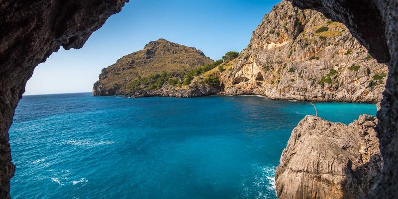 网络协议CE263深度解析：从理论到实践的技术教程