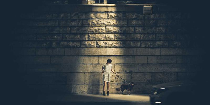 网络协议CE263深度解析：核心原理与实用网络工具指南