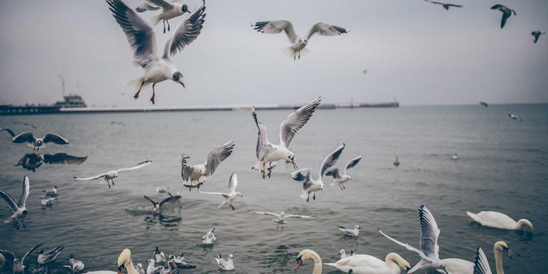 网络技术28：从协议解析到实战资源的全链路技术提升指南