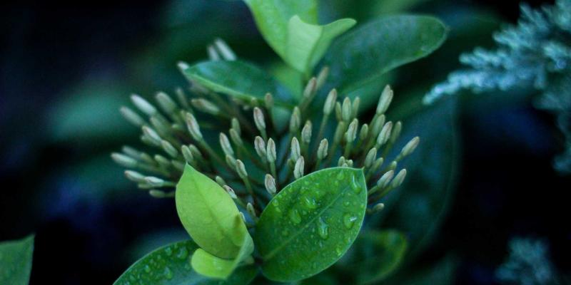 网络技术51：从入门到精通的实战指南与资源宝库