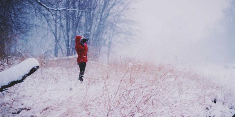 网络技术6:掌握核心网络工具与技术教程,提升数字时代竞争力