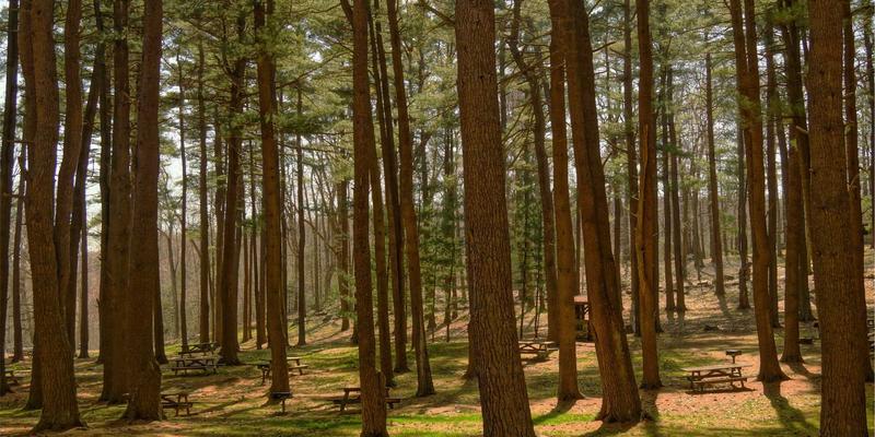 网络技术71与CE263:现代网络工具如何重塑技术生态