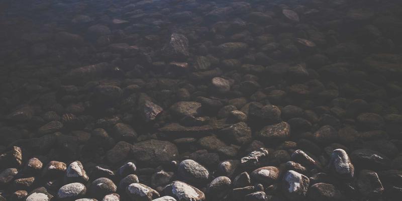 网络技术72小时：从资源分享到工具实战的进阶指南