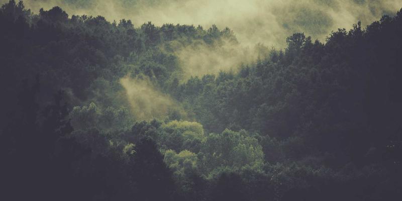 网络技术、协议与资源共享：核心概念与演进对比