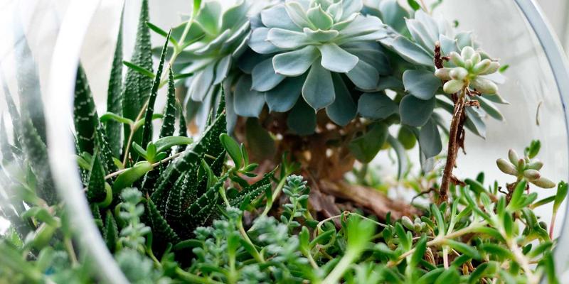 网络技术最佳实践：从协议优化到资源共享的核心策略