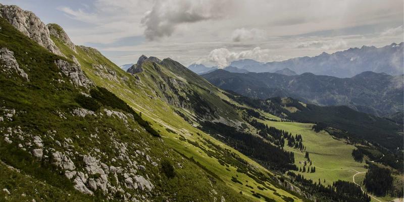 网络数字孪生技术：基于CE263协议的架构、仿真与运维优化实战